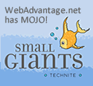 TechNite Small Giants