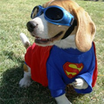 What's Your Underdog Brand Story?