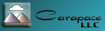 Carapace logo