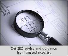 SEO Advice